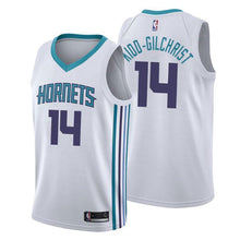 Load image into Gallery viewer, Michael Kidd-Gilchrist Charlotte Hornets Jordan Brand Swingman Jersey 2019 - Icon Edition
