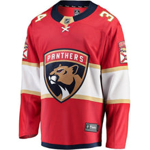 Load image into Gallery viewer, James Reimer Florida Panthers Player Swingman Jersey 2019