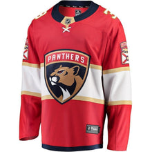 Load image into Gallery viewer, Keith Yandle Florida Panthers Player Swingman Jersey 2019